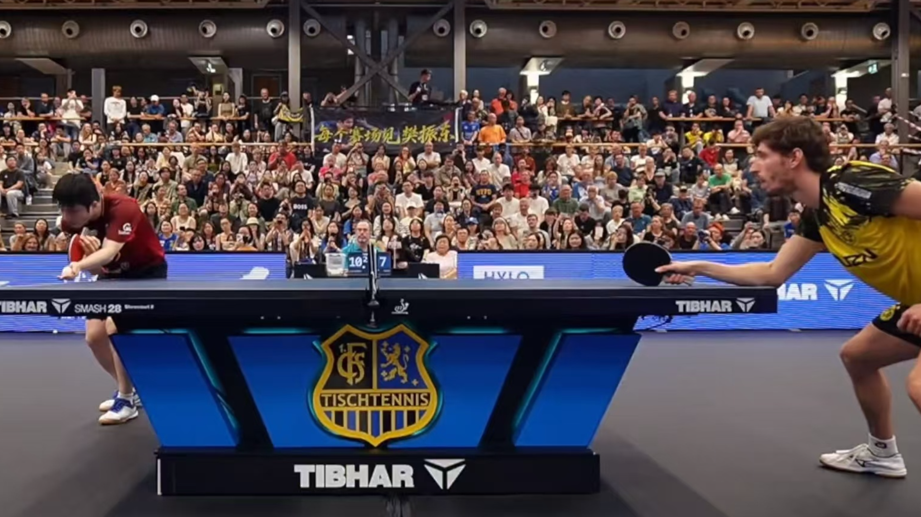 振东的适应, 越来越好 振东的适应, 越来越好