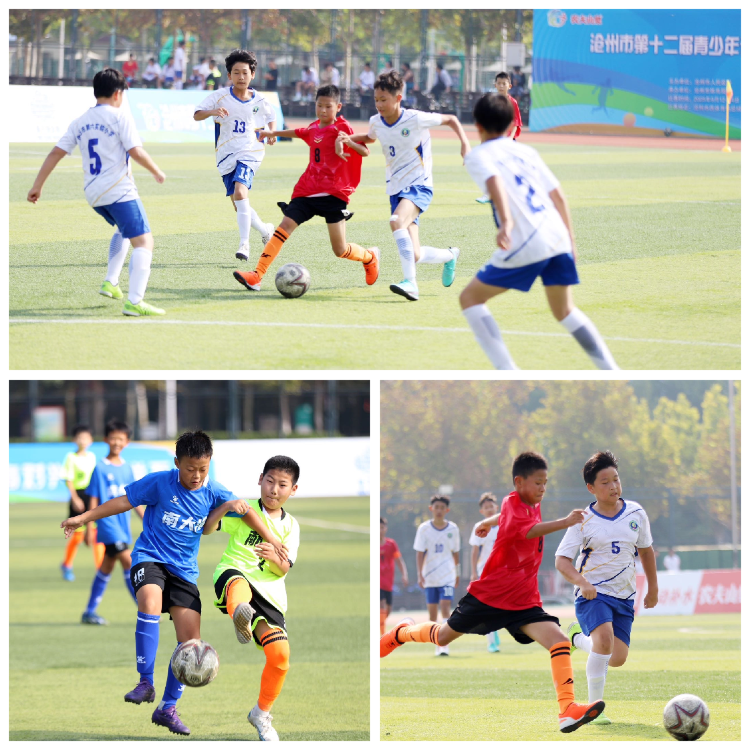 场举办, 献县, https